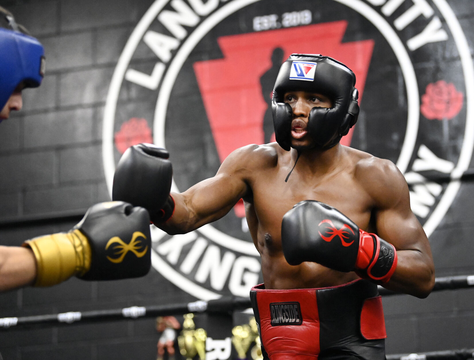 academy boxing headgear