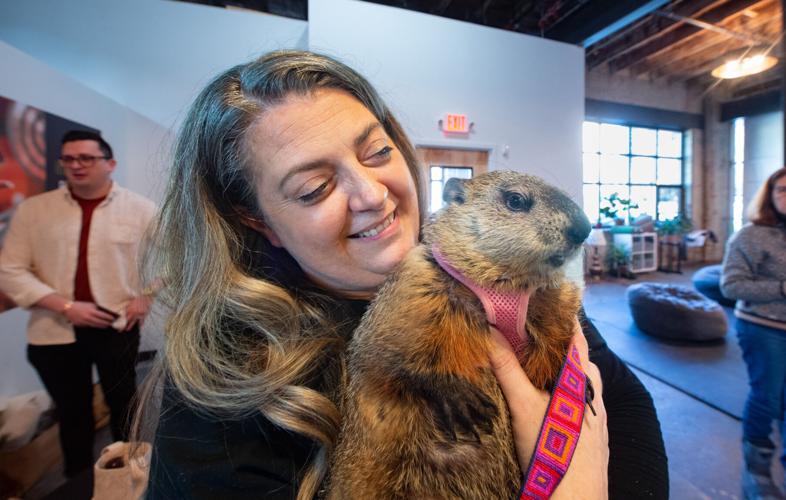 Groundhog Day Poppy