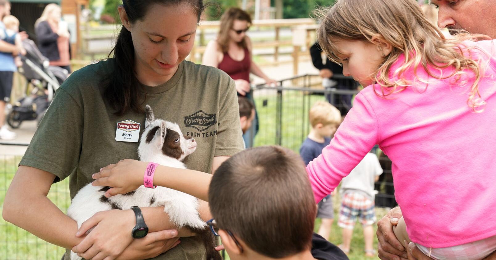 8 events in Lancaster County this weekend, from a baby animal festival to a Lancaster Rec beer garden - Vimarsana News