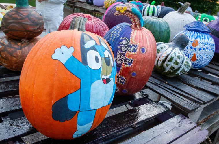 Pumpkin Palooza to bring pumpkins painted like Bluey, a mum 'tree' and