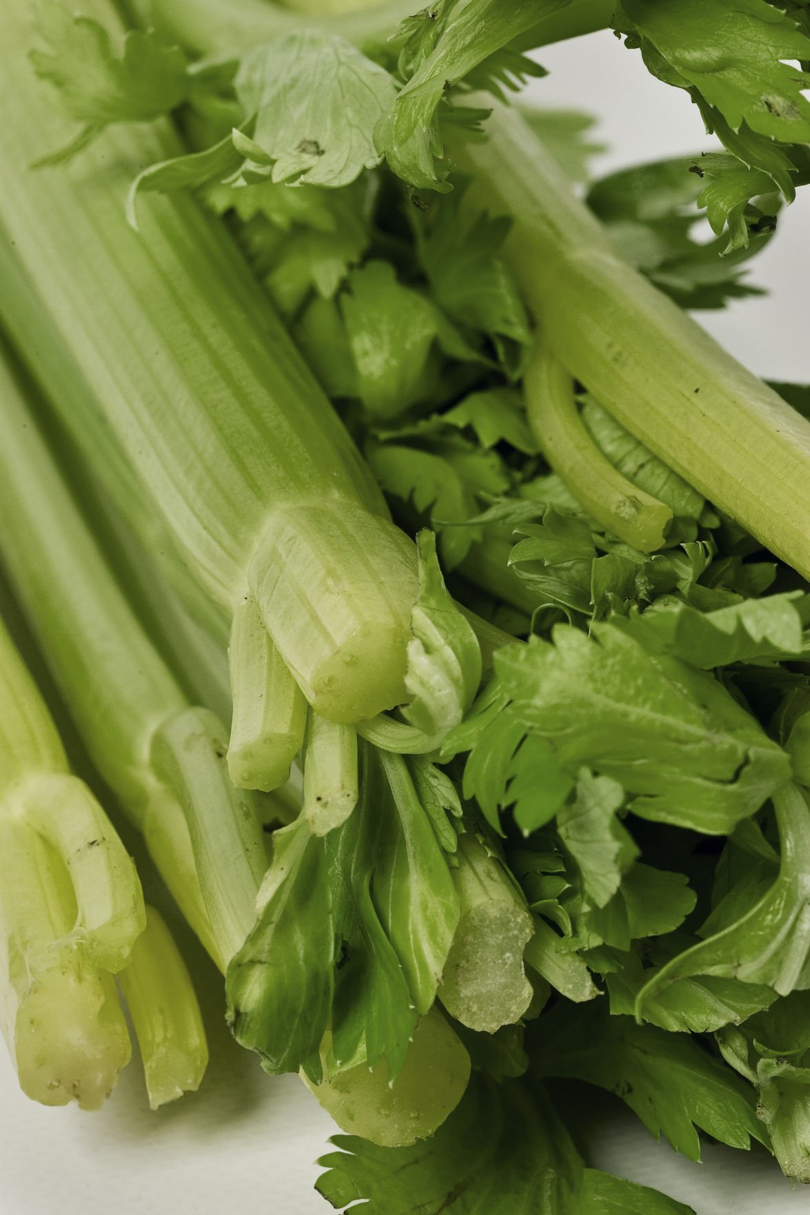 Stalking The Nutritional Value Of Celery And The Juicing Trend Food Living Lancasteronline Com