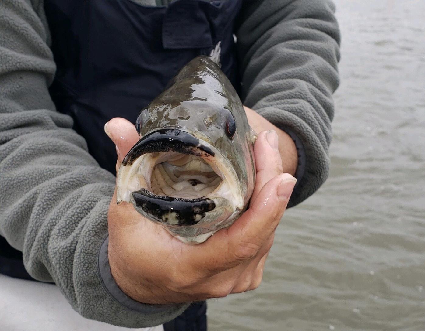Black angler breaks barriers in pro fishing