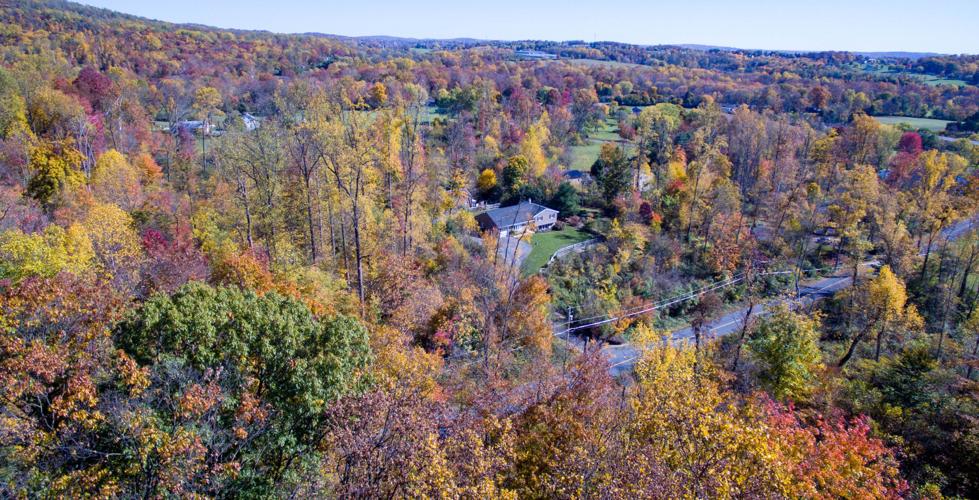 Fall foliage around Lancaster County as October comes to an end [photos