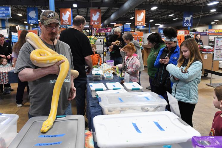 Reptilian critters come to Lancaster County, courtesy of Reptile