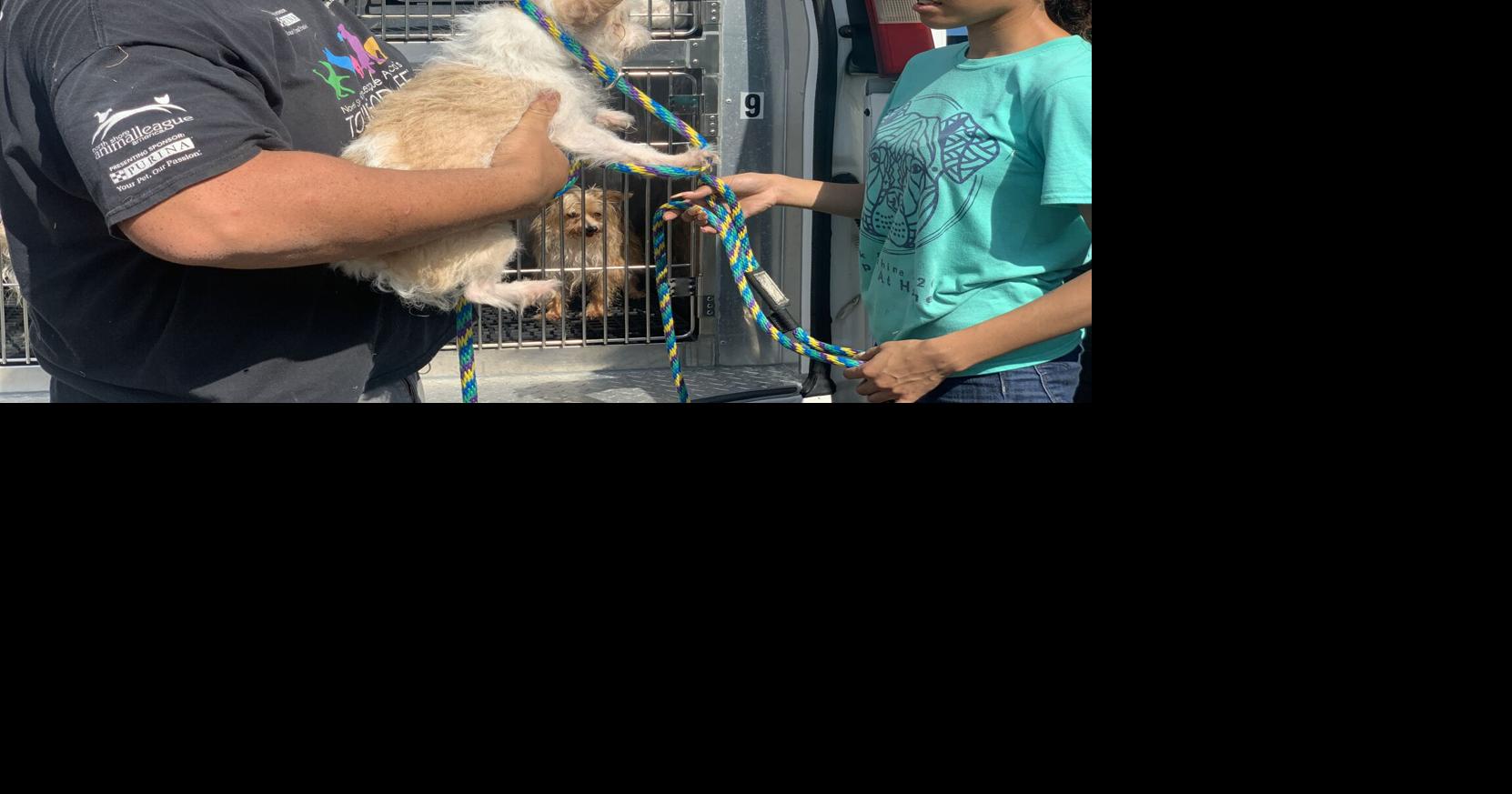 Pennsylvania SPCA rescues 100 animals from property in Quarryville