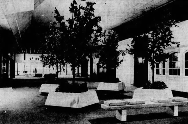 Park City opening continued in 1971, victory garden planting continued