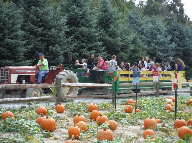 County 'agritainment' in full fall swing at Corn Cob Acres and other