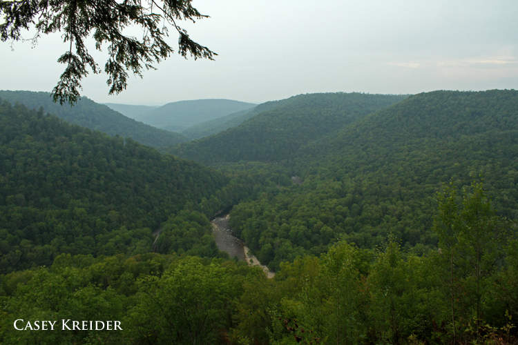 5 remote Pennsylvania trout streams to escape civilization Outdoors