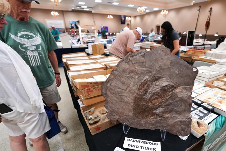 fossils072422-2.jpg