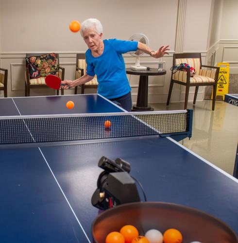 The History of Ping Pong  Free Online Math Games, Cool Puzzles, and More