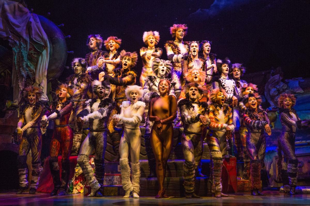 National Tour Of Cats Coming To Hershey Theatre Tuesday Food