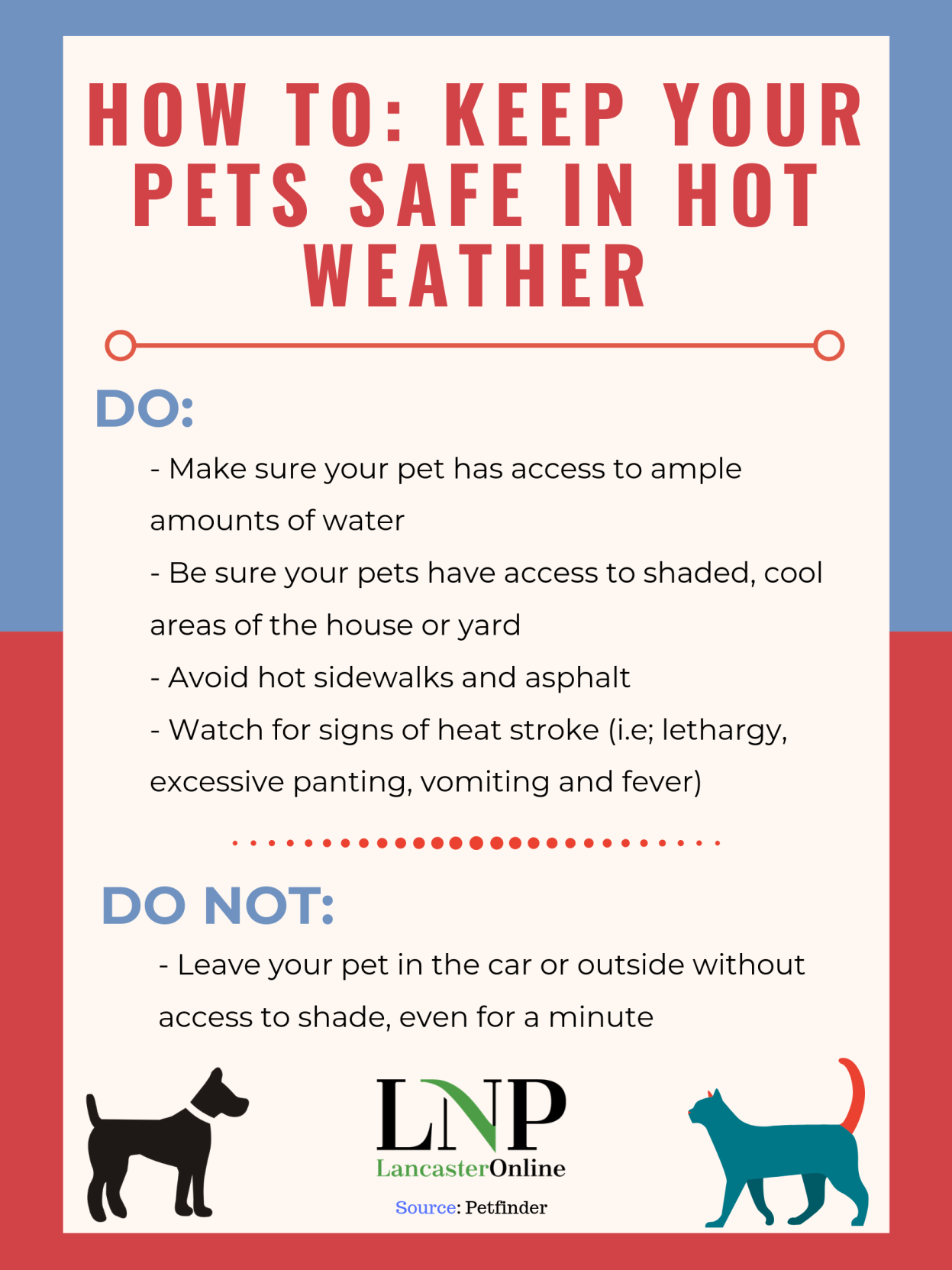 How to keep your pets safe during a heat wave | Local News ...