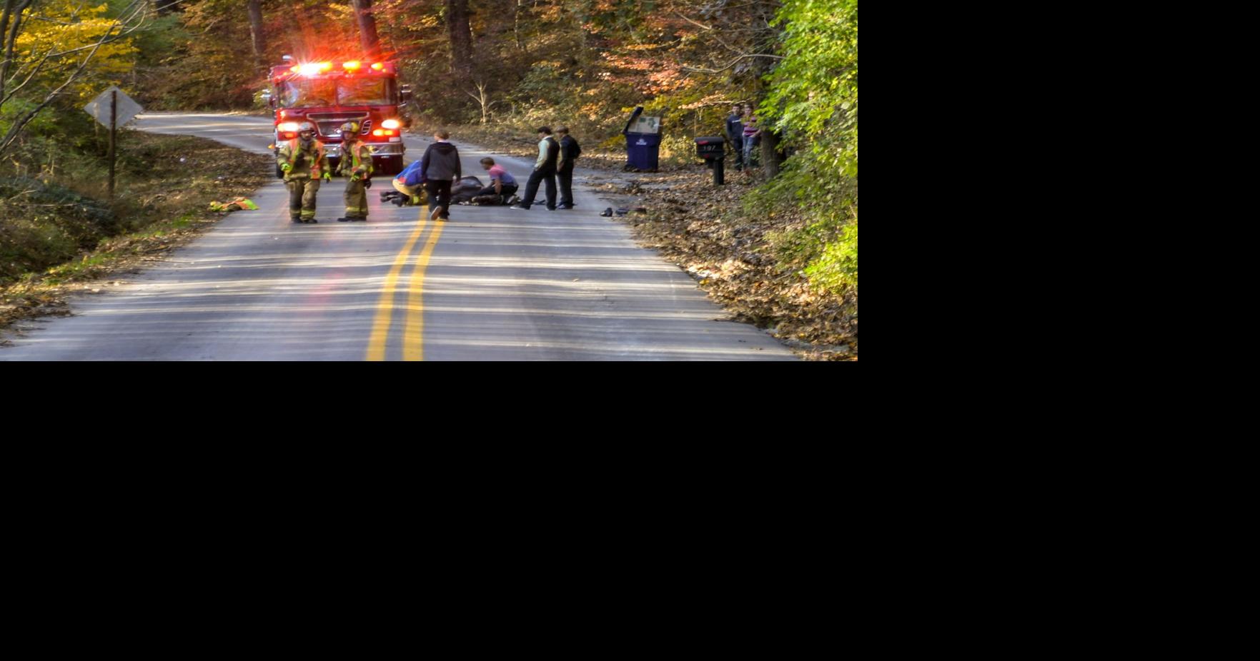 'Spooked' horse dies Sunday after collision with car in Paradise ...