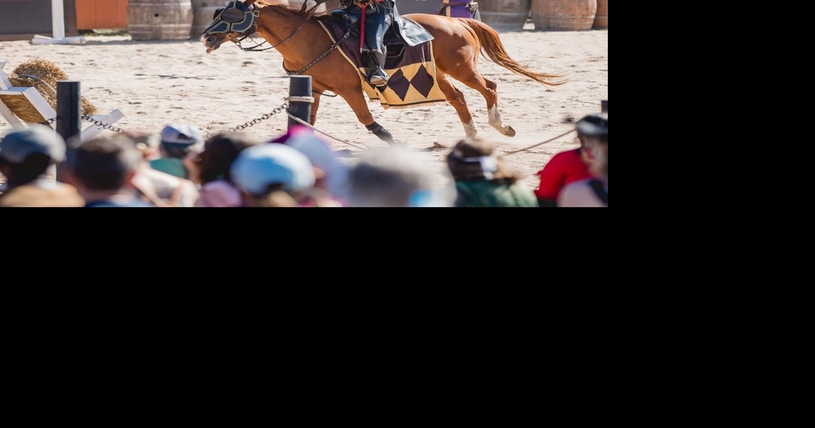 Pennsylvania Renaissance Faire sold to national investment firm; longtime owners to keep managing event