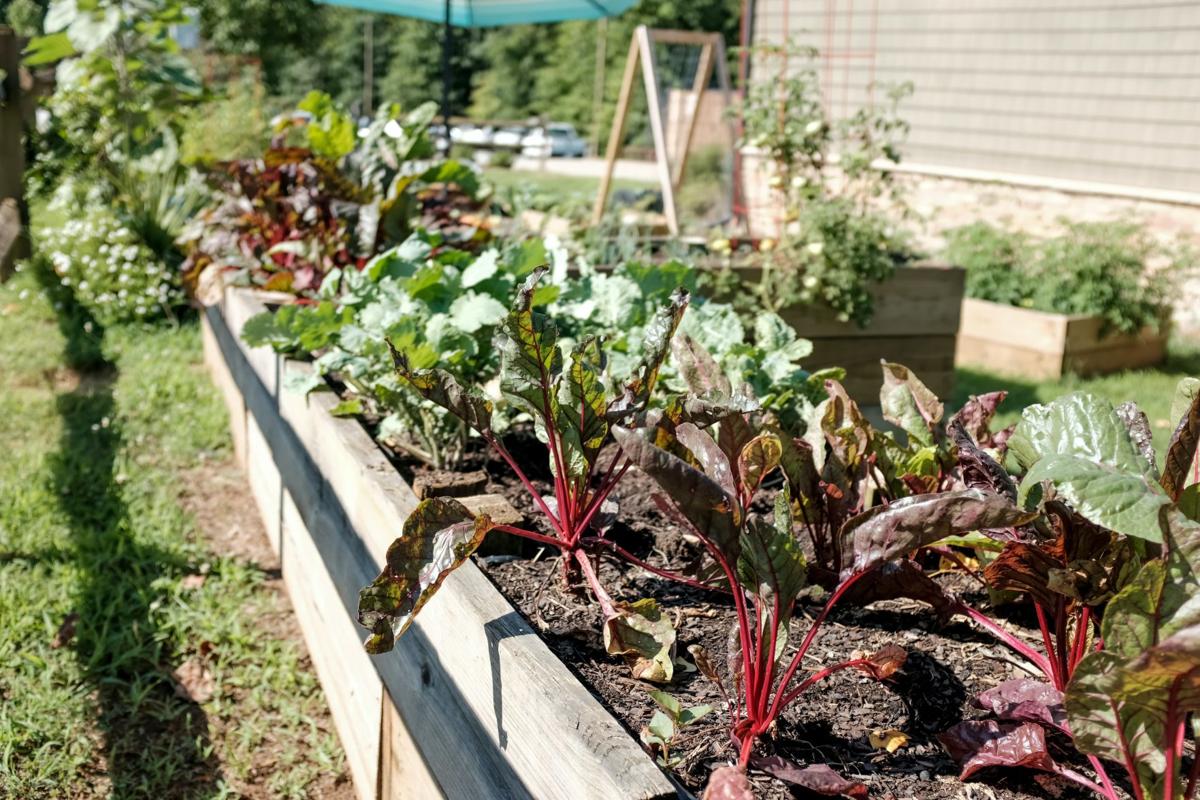 Boost Your Gardening Game With These Online Classes And Some Are Free Food Living Lancasteronline Com
