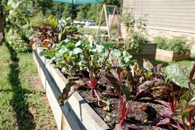 Boost Your Gardening Game With These Online Classes And Some Are