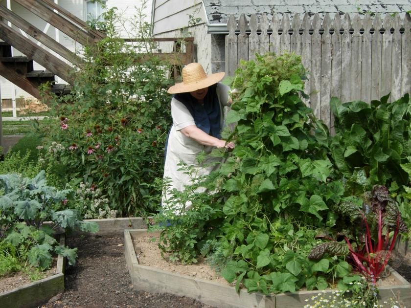 Attention Gardeners Free Heirloom Seed Exchange Set April 8 In Elizabethtown Home Garden Lancasteronline Com