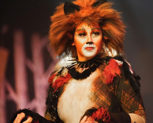 Cats' opens Friday at Susquehanna Stage; see the elaborate costumes, makeup, Entertainment