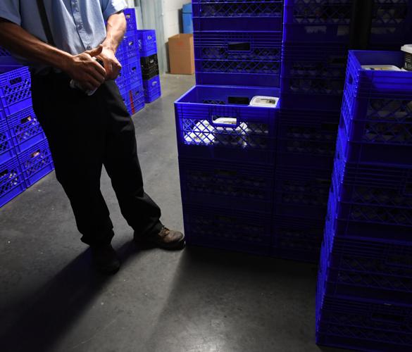 BJ Raw Pet Food 0015.jpg