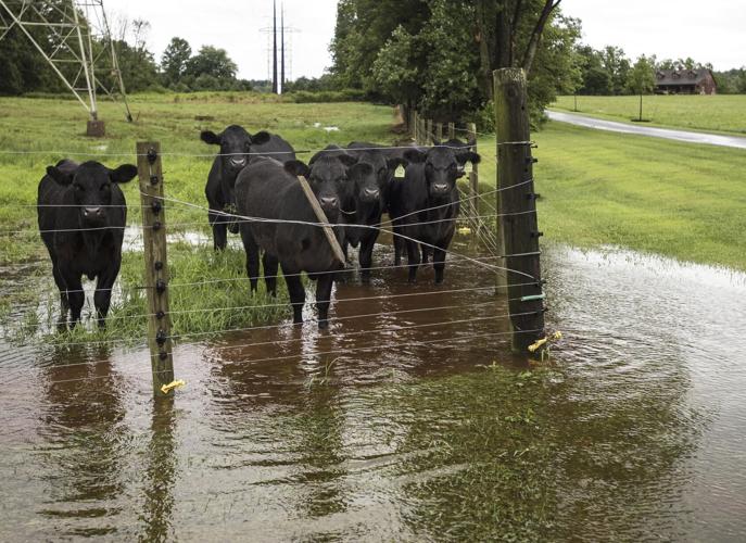 Tropical Storm Isaias dumps rain onto Lancaster County on Tuesday ...