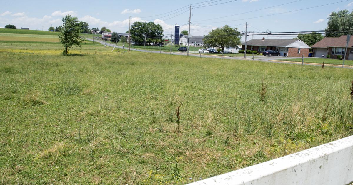 Fundraiser to bring public butterfly garden to New Holland | Home & Garden Fundraiser to bring public butterfly garden to New Holland | Home & Garden