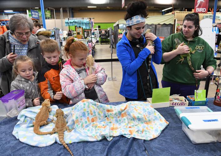 Reptilian critters come to Lancaster County, courtesy of Reptile