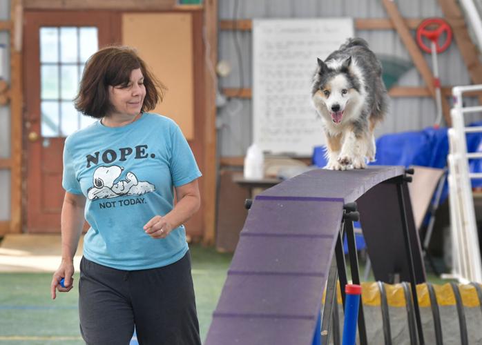 Rocky Creek Dog Agility 8.jpg
