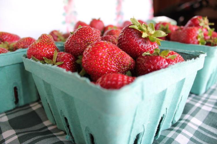 Lancaster Farming Homemade harvester makes strawberry picking 'berry