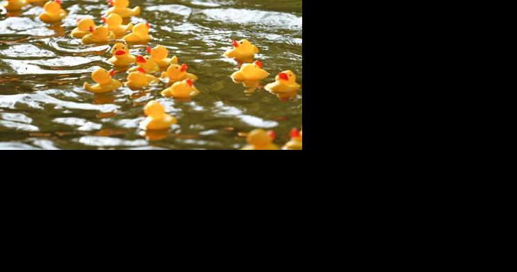 35th Annual Rubber Duckie Race & Festival - Vimarsana News
