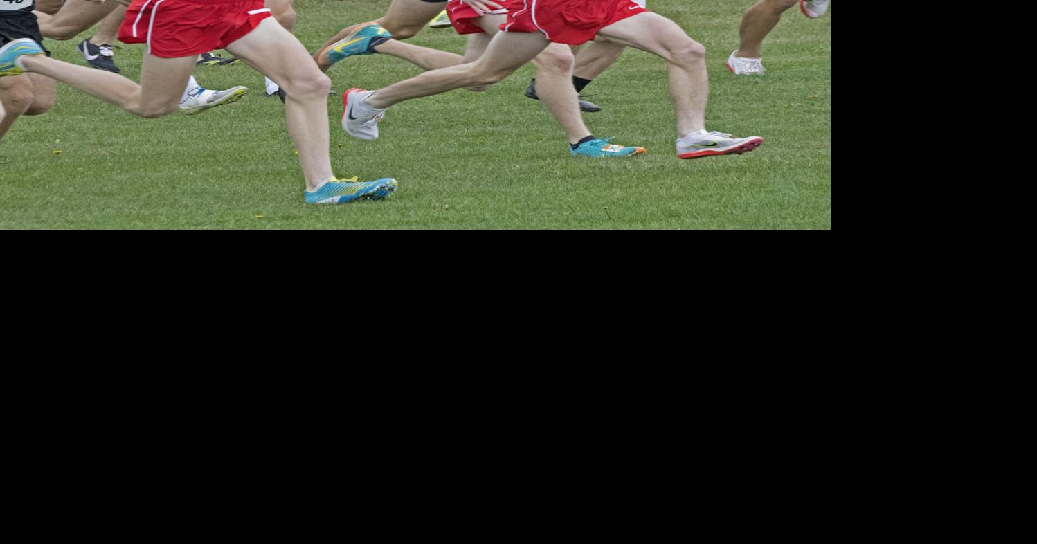 52 L-L League runners set to compete at Saturday's PIAA cross country ...