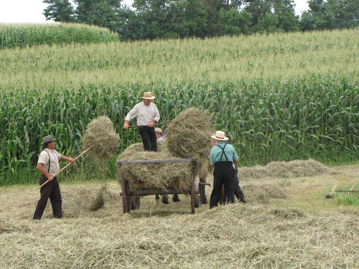 Learn how they harvested wheat and hay by hand and horsepower at Big