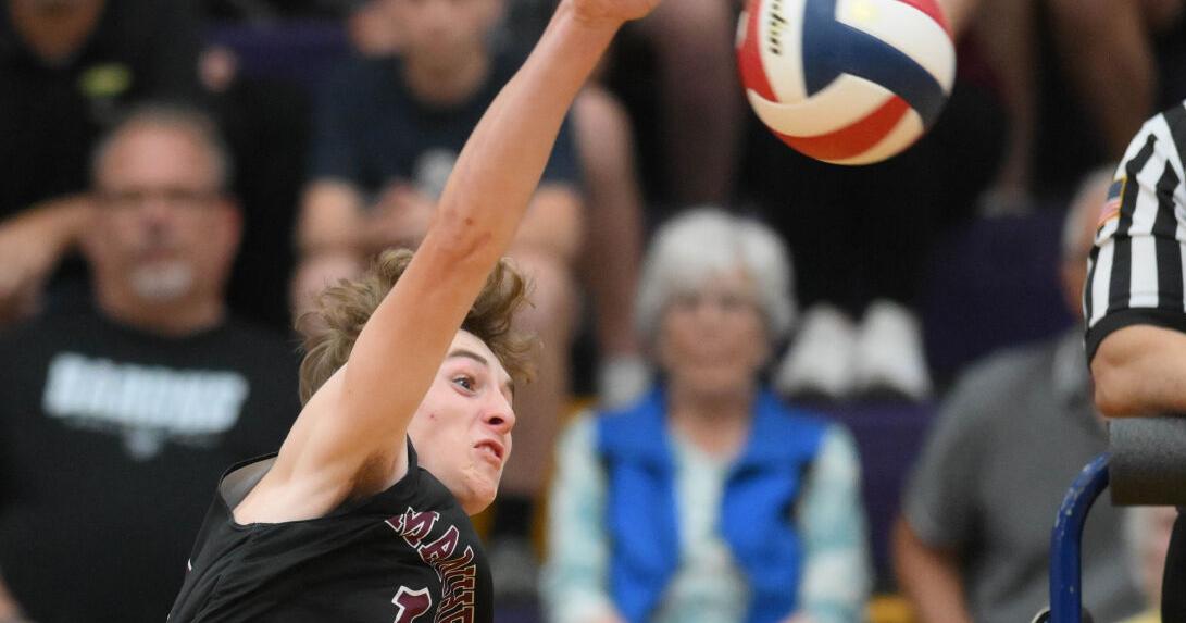 Manheim Central, Cedar Crest are final squads repping LL League in