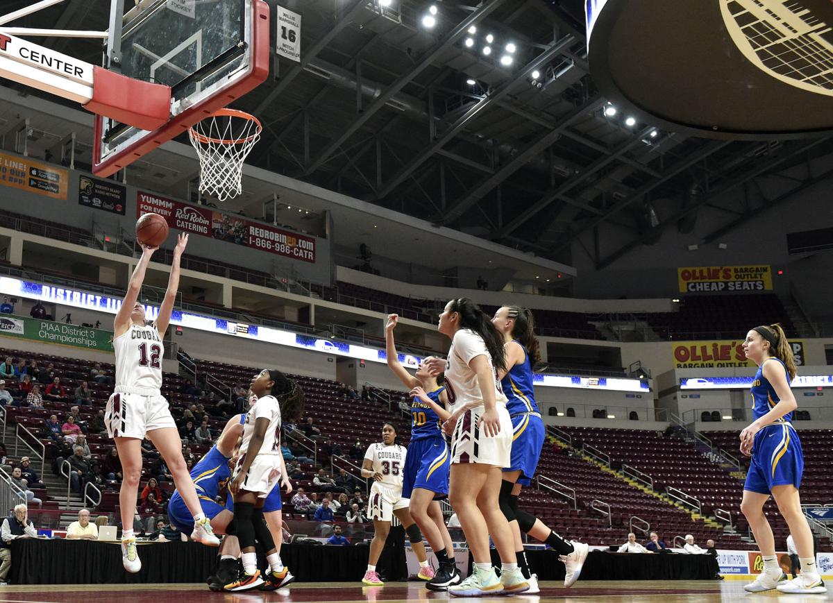 8 Local Girls Basketball Teams Get Piaa Tournament Assignments