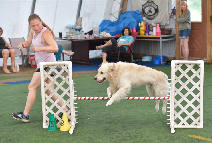 Rocky Creek Dog Agility 9.jpg