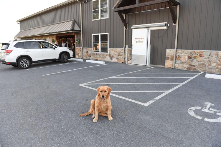 BJ Raw Pet Food 017.jpg