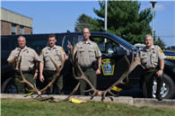 Centre County man to spend up to 18 months in jail for poaching 3 elk