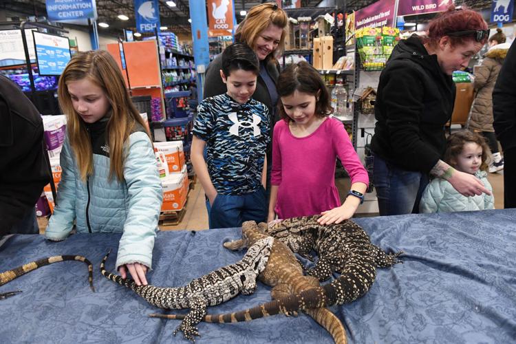 Reptilian critters come to Lancaster County, courtesy of Reptile
