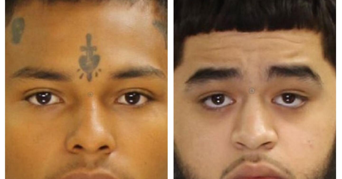 Two accused of 2022 drug and firearms charges plead guilty - Vimarsana News