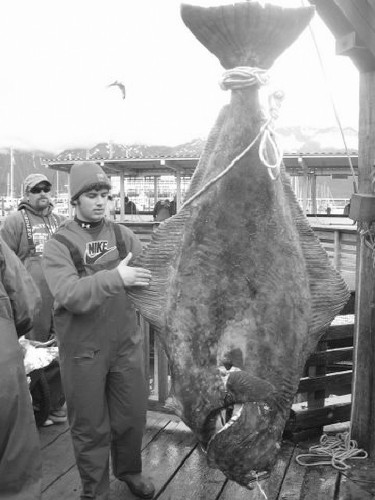 It Was A Miracle Fish Local Man Lands 246 Pound Halibut During Trip To Gulf Of Alaska Sports Lancasteronline Com