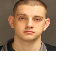 Former Lancaster city police officer pleads guilty to beating puppy