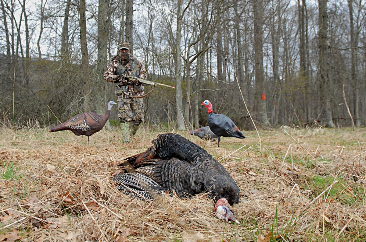 Support for Sunday hunting still weak among PA hunters Outdoors