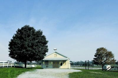 Crime doesn t fit murdesuicide profile in West Nickel Mines School