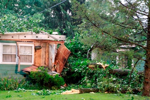 Brickerville Woman Rescued After Being Trapped By Fallen Tree On House