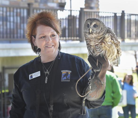 Raven Riger Raven Ridge Wildlife Center holds wildlife baby shower [photos ...