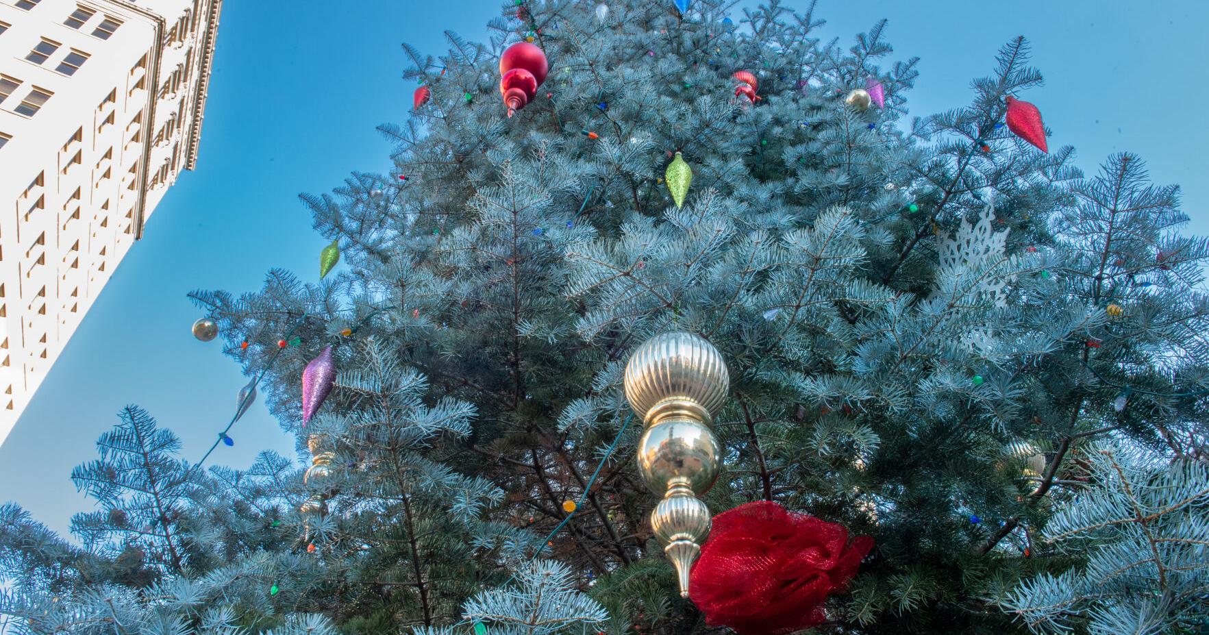 Watch live: Crowds gather for Lancaster city's annual Mayor's Tree Lighting