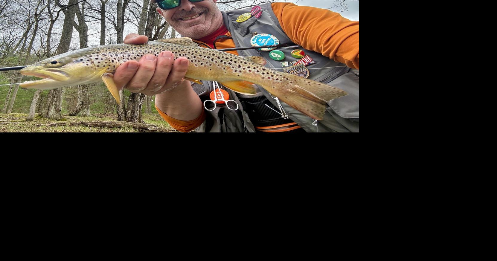 Pennsylvania streams home to plenty of brown trout, but none that are 'native' [column]