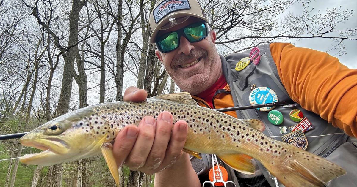 Brown trout