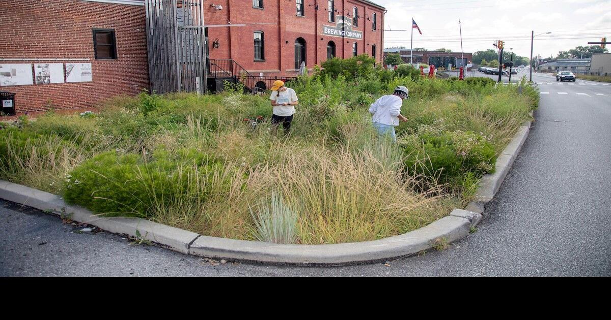Public input welcome as Lancaster city plans for climate change - LNP | LancasterOnline