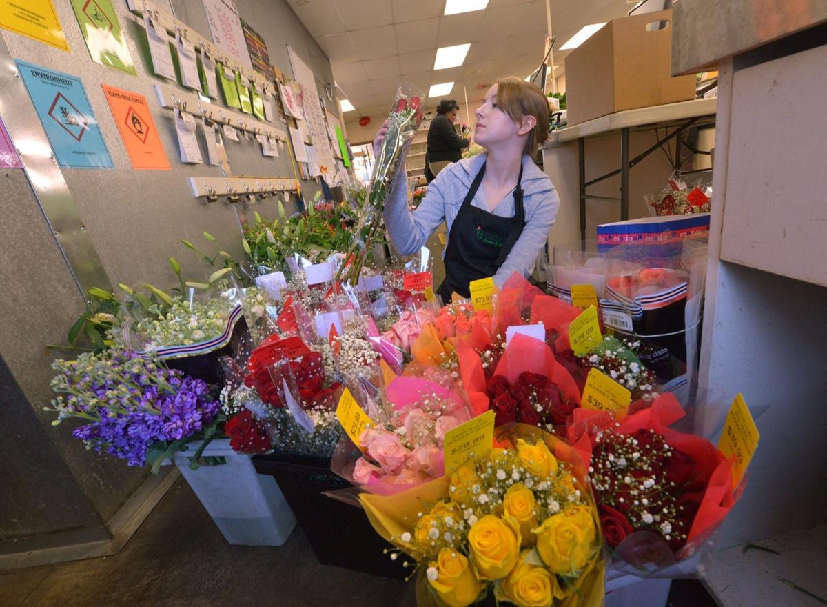 Royers Flowers Rohrerstown Rd Lancaster Pa Best Flower Site