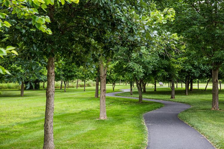 Landis Farm releases 13 new premium home sites Homes